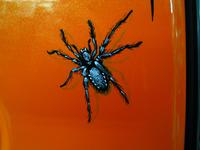 Hand Painted Spider near the car roof