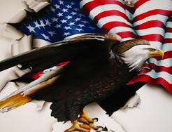 Super DETAIL of an AIRBRUSHED Eagle & the American Flag tearing through the torn steel.