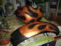 Varegated Gold Leaf & Pinstriping
