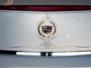 CADILLAC TRUNK with fine Scroll Pinstriping Design