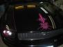 Mustang Hood Pinstriped in 2 shades of Pink